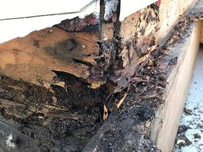 Professional water damage restoration services in Mississauga